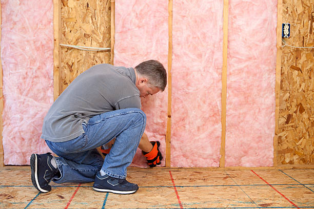 Best Insulation Installation Services in New Orleans Station, LA