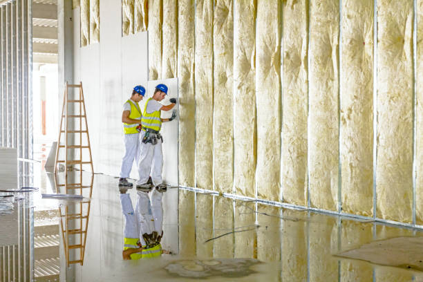 Best Commercial Insulation in New Orleans Station, LA